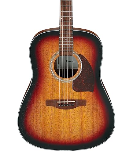Amazon.com: Ibanez AAD100 Acoustic Guitar - Open Pore